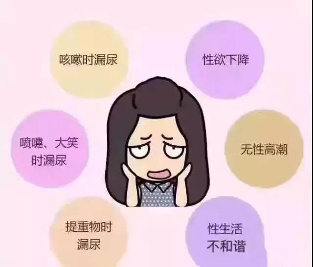 1551148840785932.jpg 1551148840785932.jpg